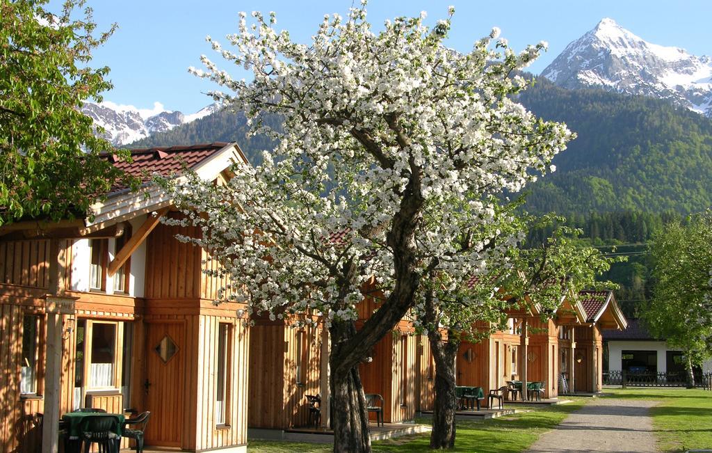 Alpencamp Kaernten Kotschach-Mauthen Rom bilde